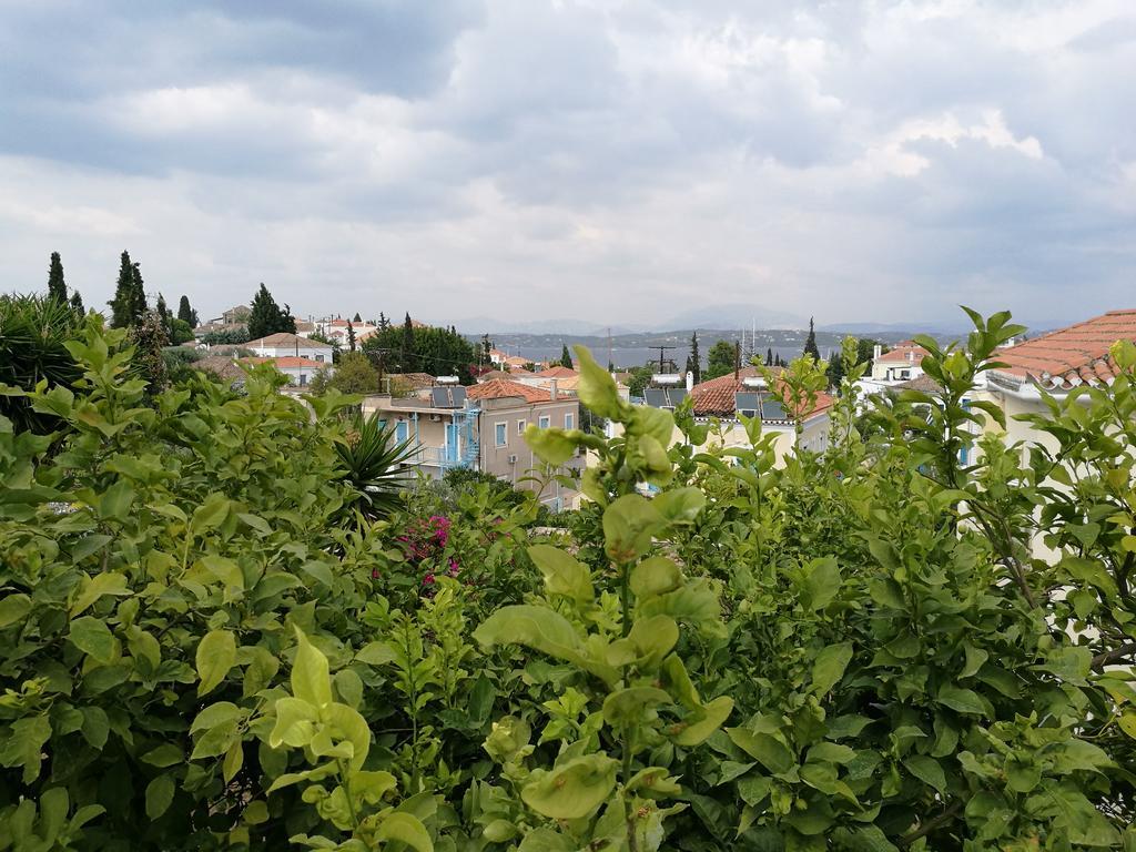 Villa Metaxa Спетсес Экстерьер фото